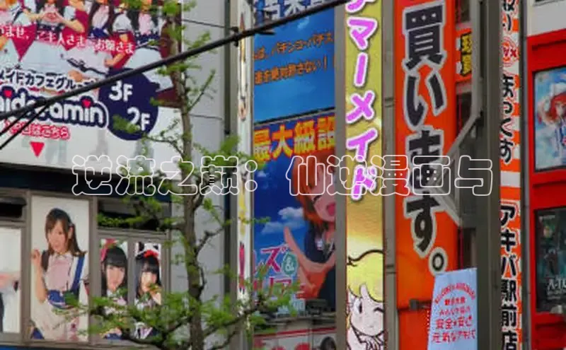 樱花漫画下拉式观看网站